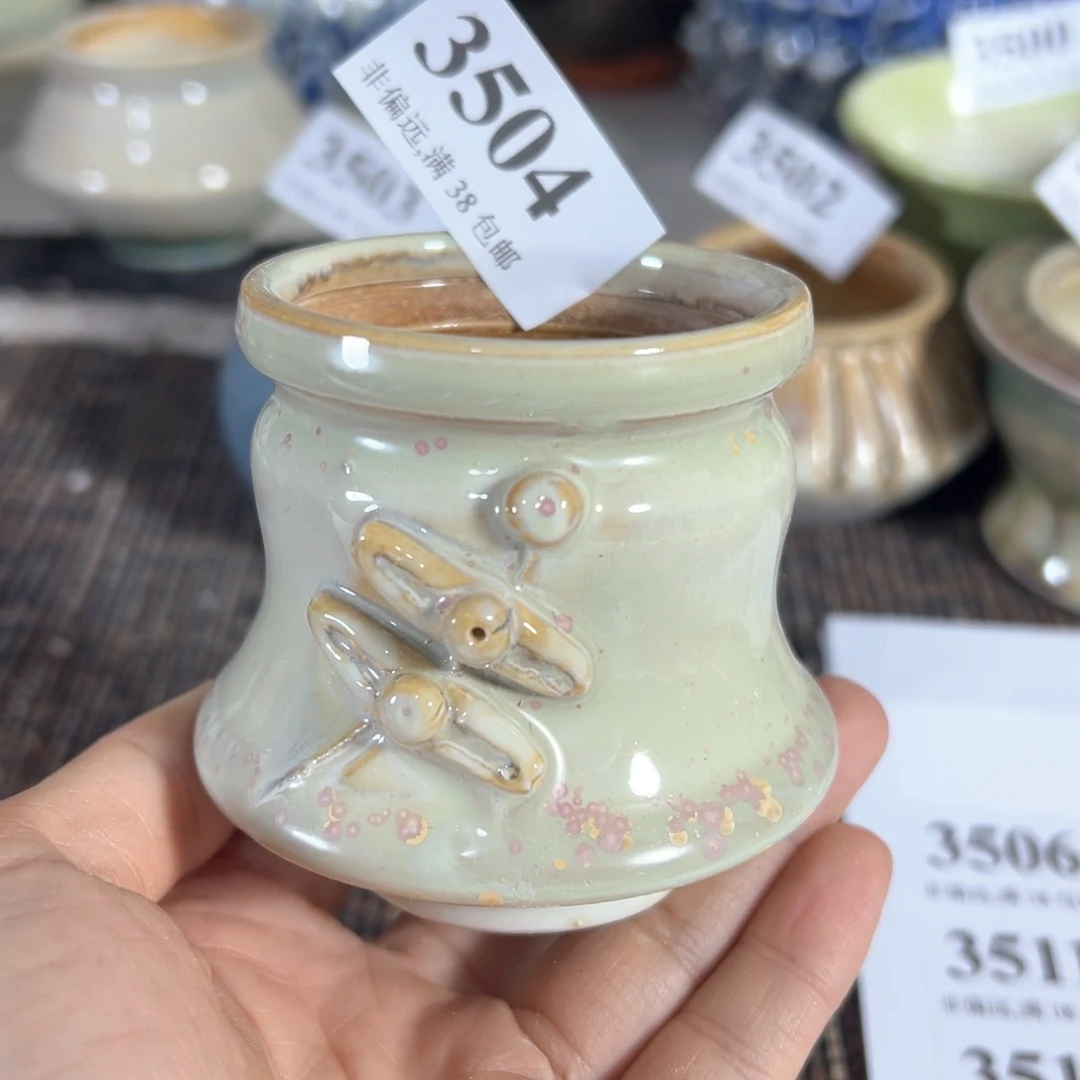 红陶20CM（含）-50CM（不含）