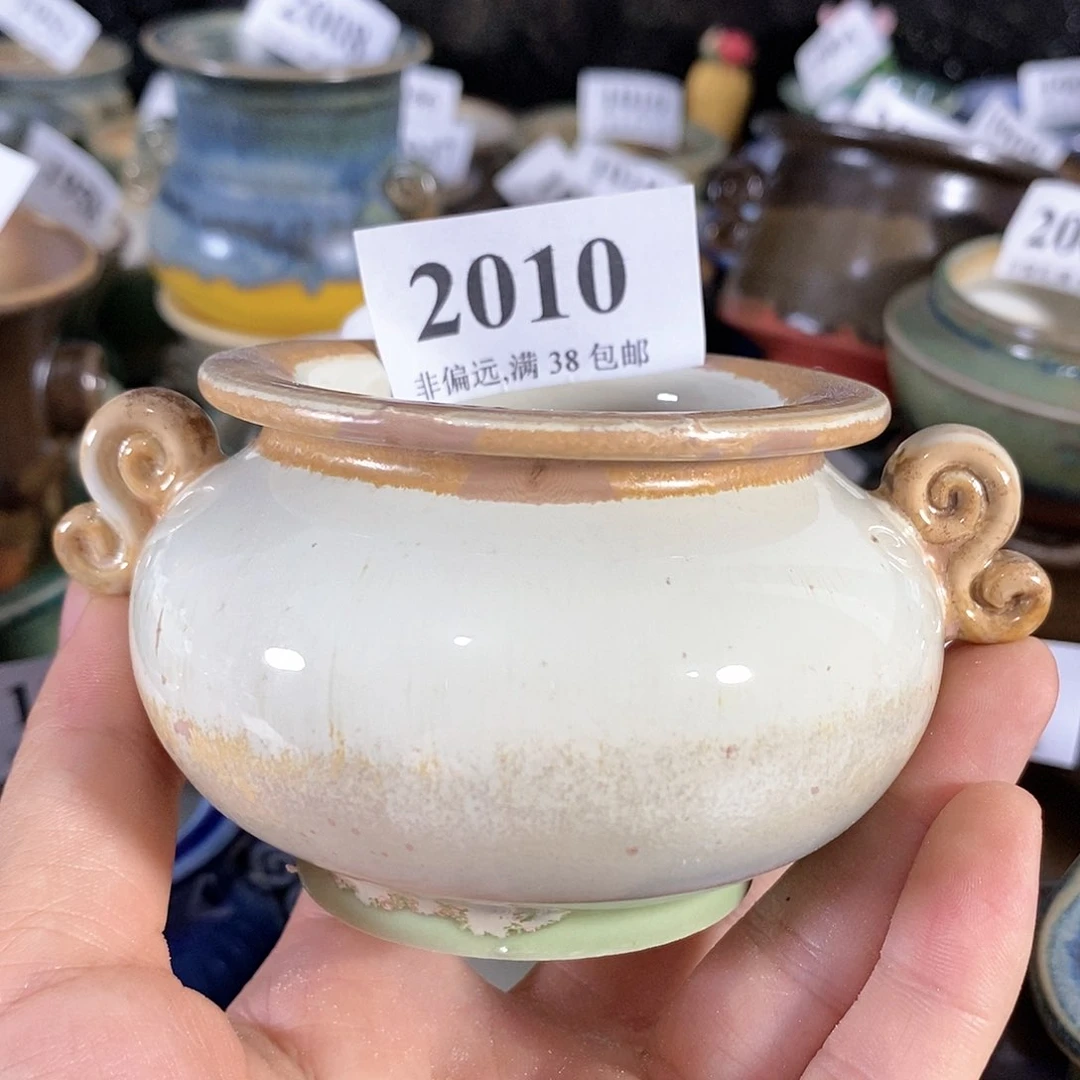 红陶20CM（含）-50CM（不含）