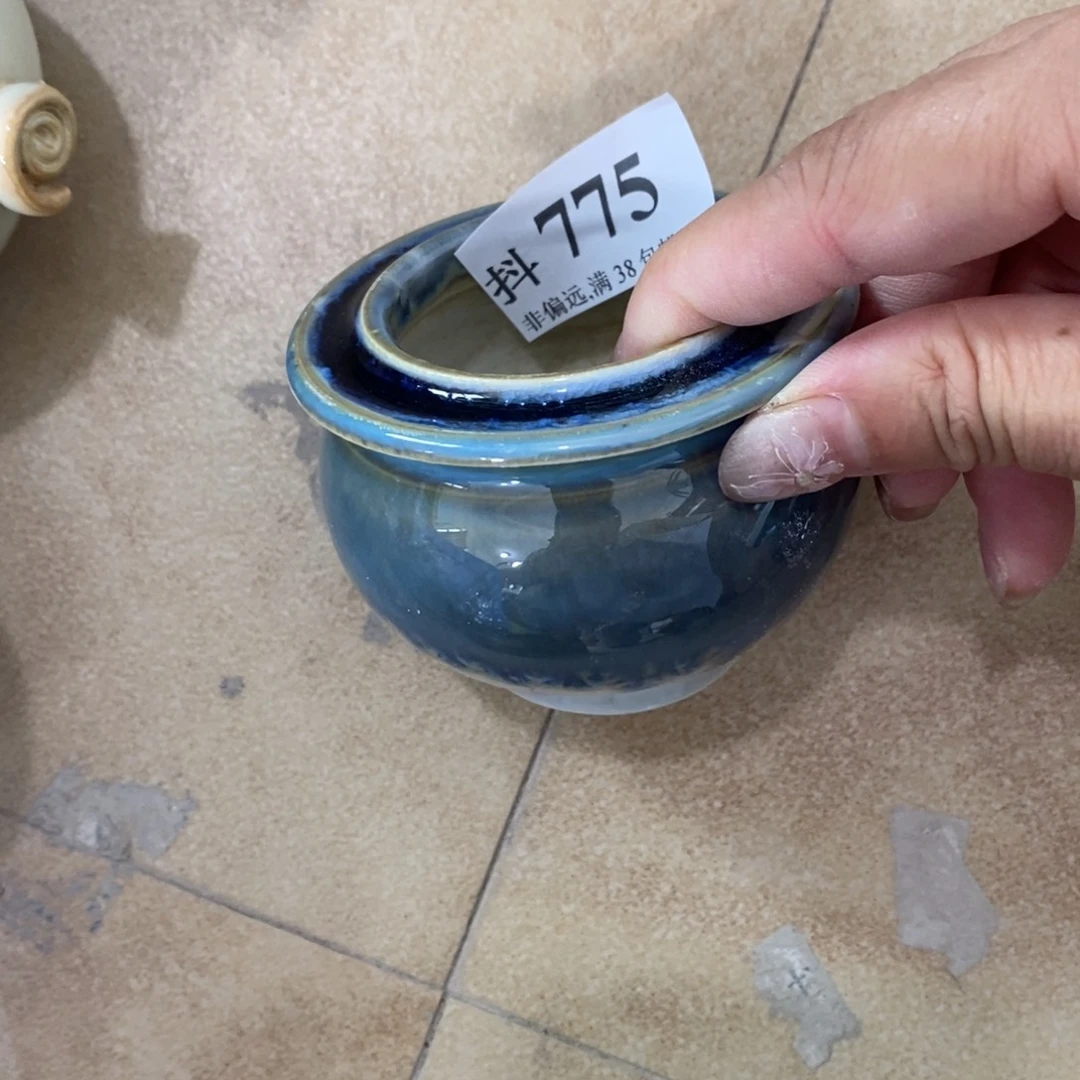 红陶20CM（含）-50CM（不含）福利