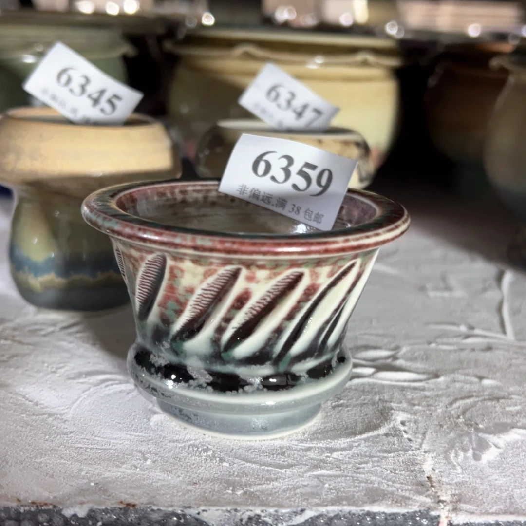 红陶20CM（含）-50CM（不含）