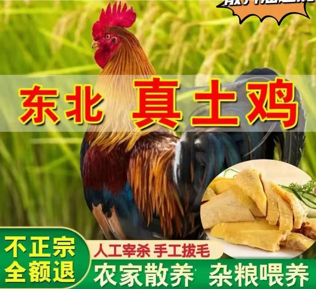 三只大公鸡（8斤以上）