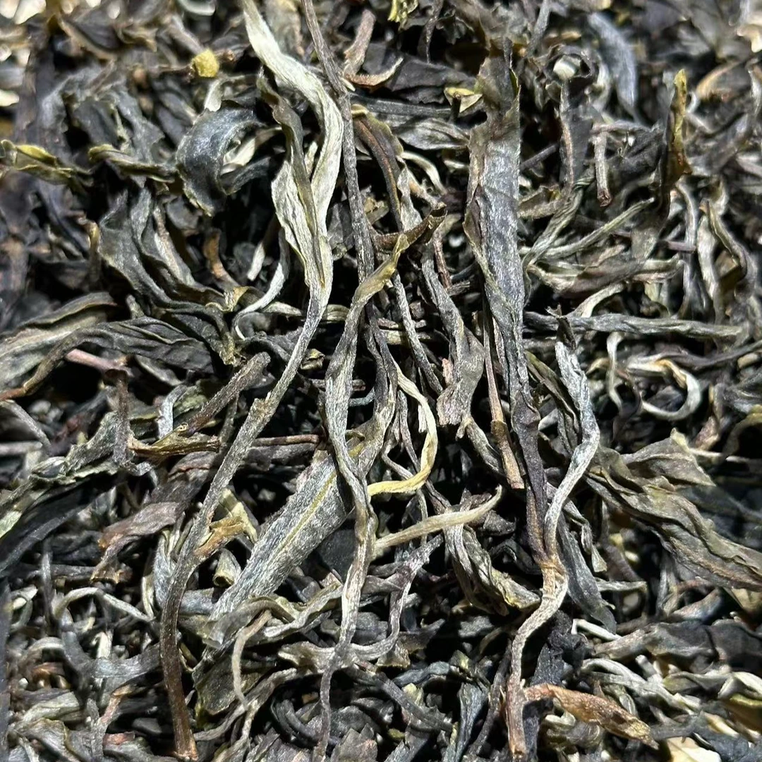 2024年白茶园古树大森林核心区蝴蝶谷散茶普洱生茶