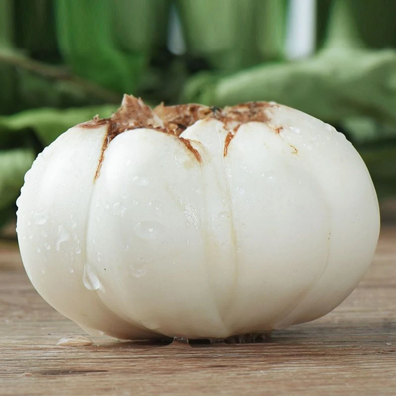 百合新鲜兰州甜百合营养健康美味产地直发1-5斤装包邮