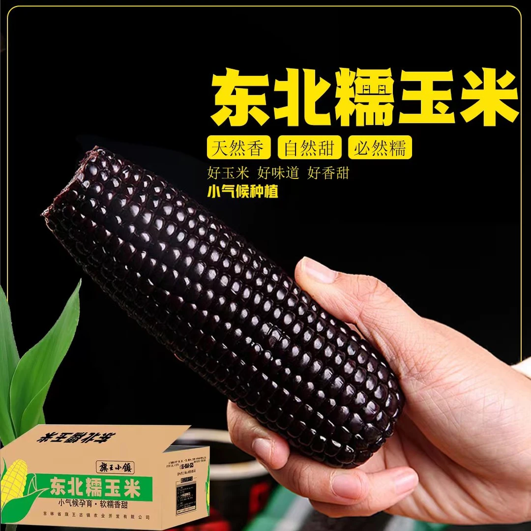 试吃两根】黑甜糯玉米松花江畔种植地发货12支6斤