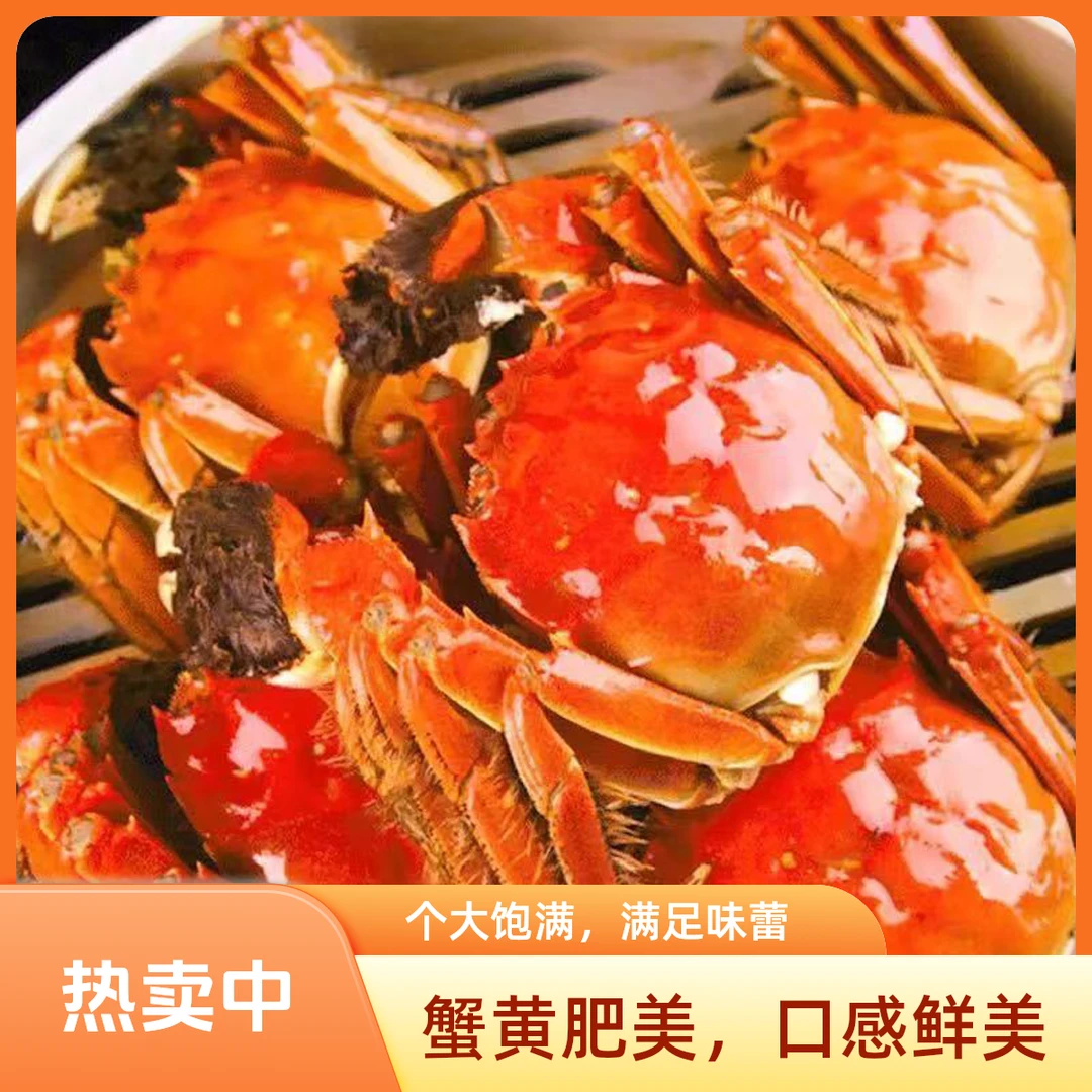 【活蟹】纯母蟹 江苏河蟹 单只1.6-1.3两（6+2到手8只） 顺丰直达东