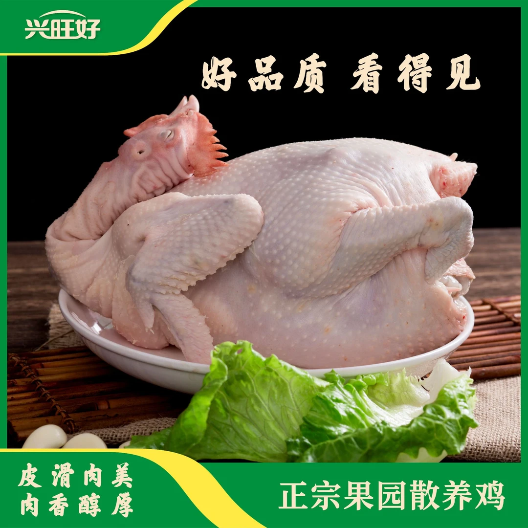 【进华专属】湛江放养果园鸡新鲜现杀肉质鲜嫩煲汤营养美味