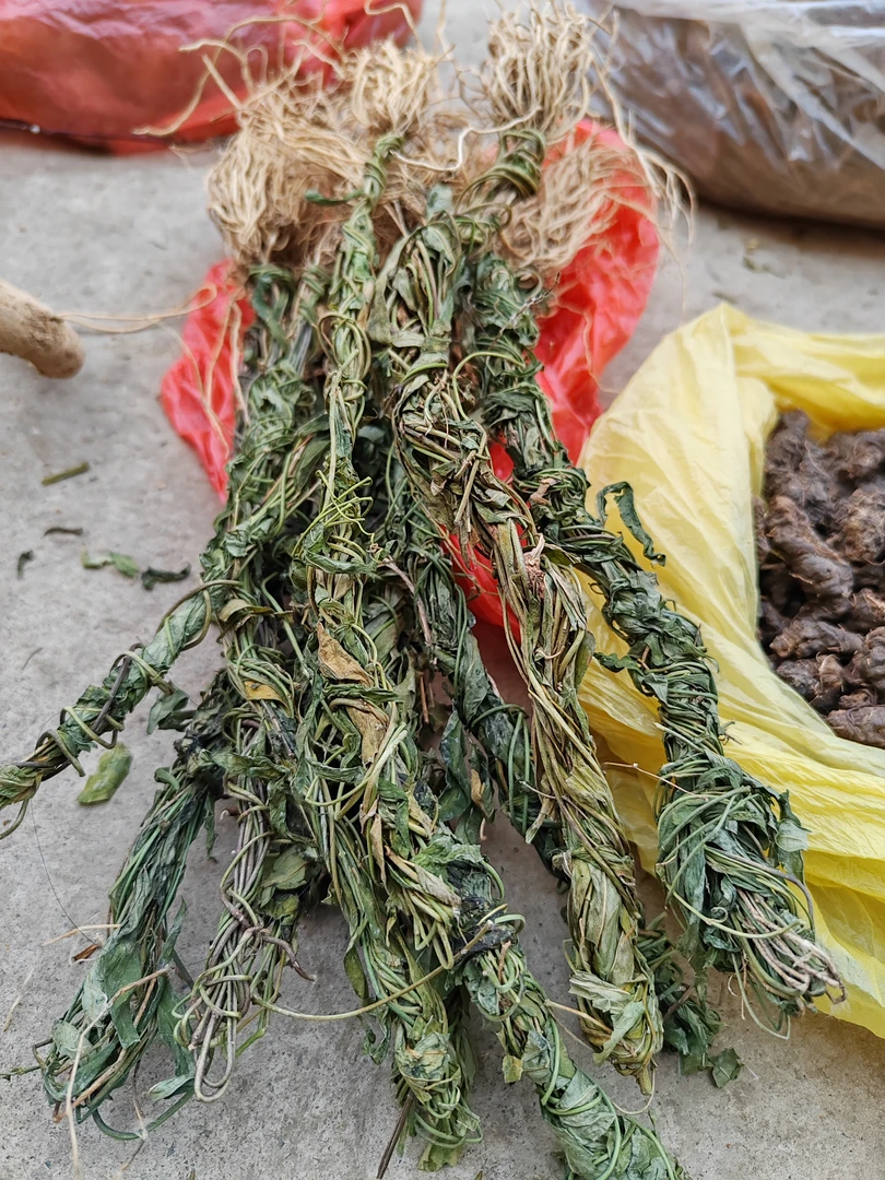贵州山货（对叶莲）别名血长青