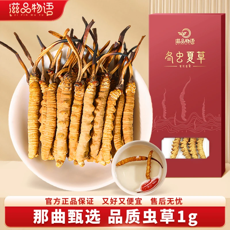 西藏虫草冬虫草药材冬虫夏草礼盒滋补礼盒装饱满品质性价比高1g装
