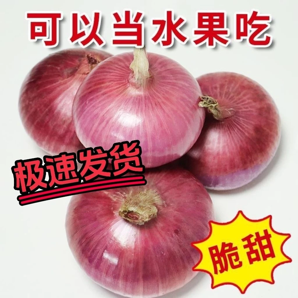 （产地直发）山东农家种植新鲜多汁紫红水果洋葱净重5斤装