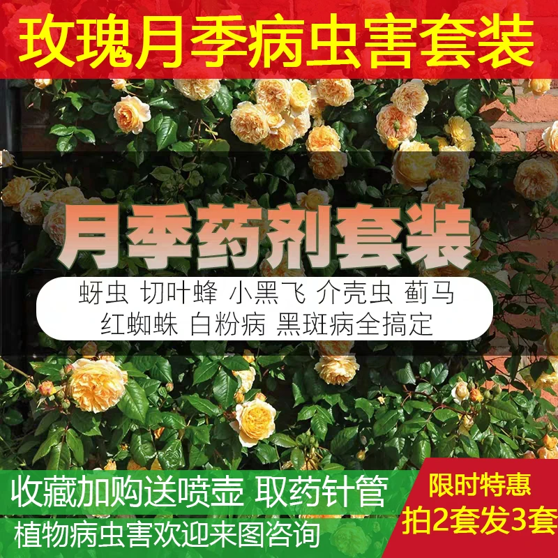 月季花玫瑰蔷薇专用杀虫剂驱虫药除虫剂防打虫药吃叶虫红蜘蛛蚜虫