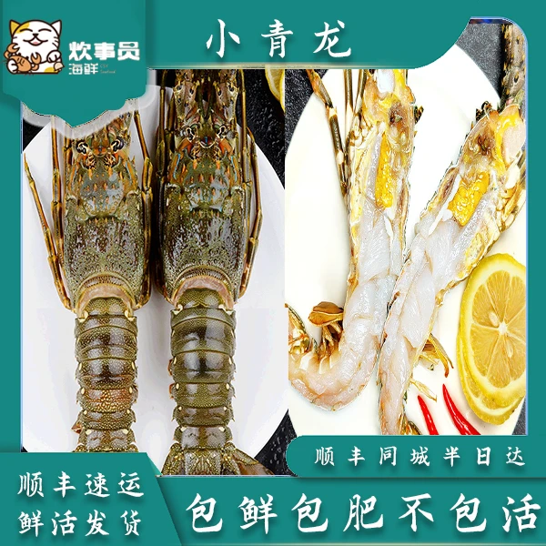 三只4-5两/只鲜活小青龙 鲜嫩美味活发 新风港发货包鲜不包活