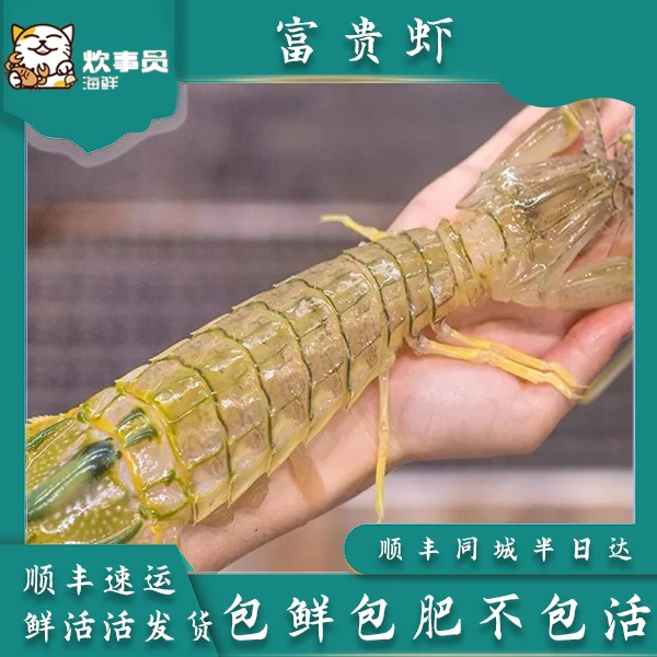 三只3-4两/只泰国富贵虾公皮皮虾活发  活发包鲜不包活介意勿拍