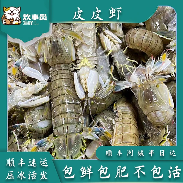 一斤本地有膏皮皮虾野生有膏濑尿虾虾菇有大有小打氧活发9成膏