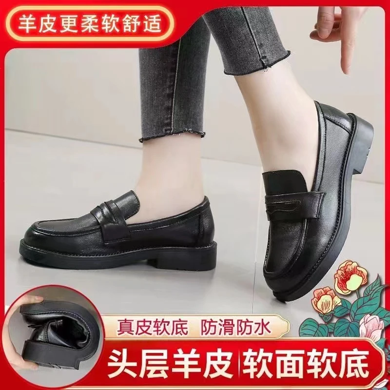 66501-1新款软底软面舒适羊皮乐福鞋