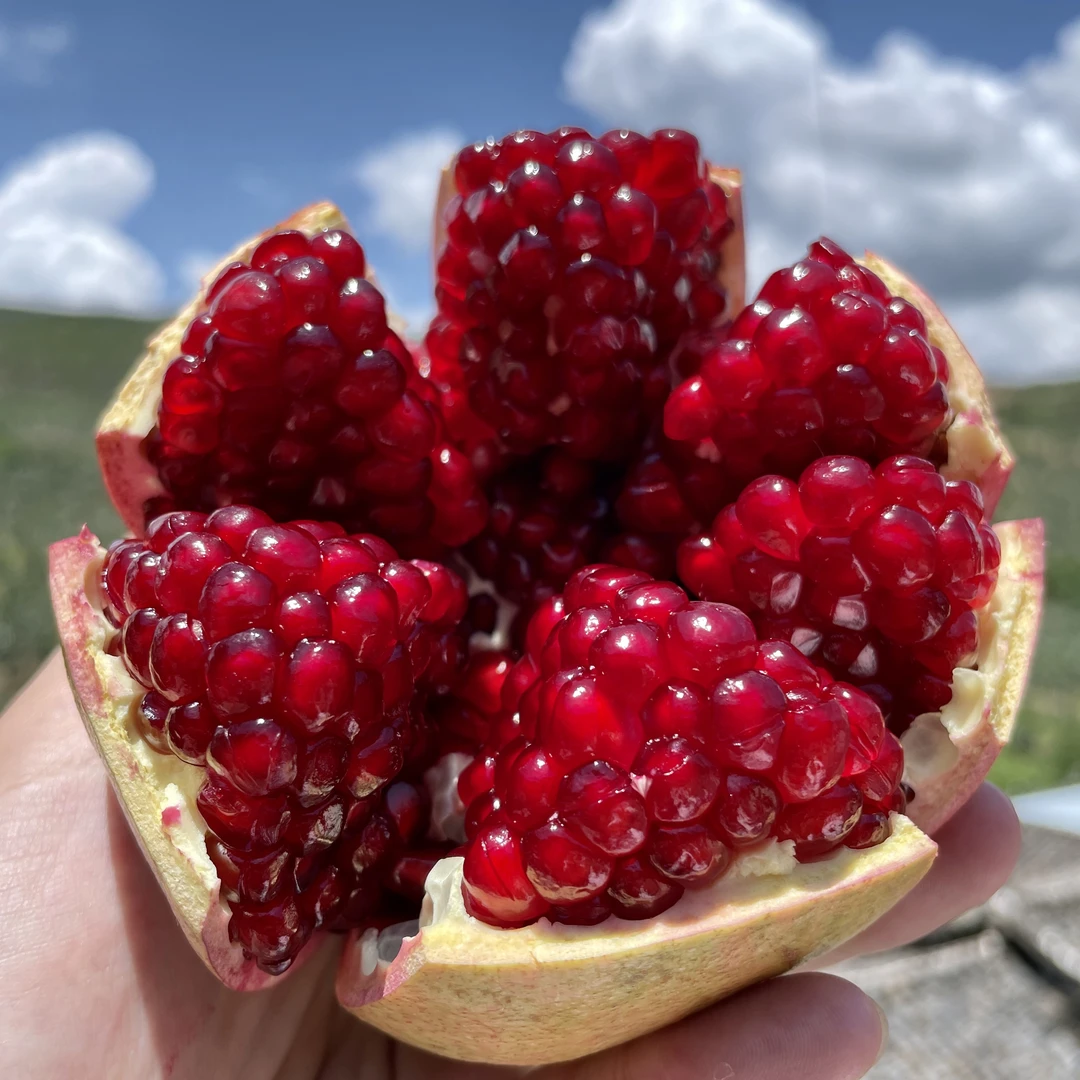 【现货！爆甜】四川会理突尼斯软籽石榴新鲜采摘水果5/8斤纯甜爆汁