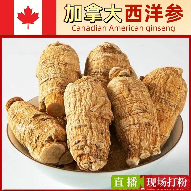 【参葆堂进口加拿大西洋参】5克足龄老参臻选花旗参软质整枝粒滋补