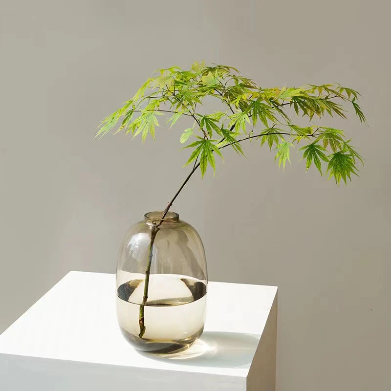 大肚花瓶龟背竹花瓶北欧风透明水养客厅插花花器鲜花