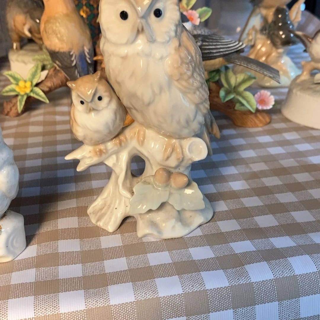 碟l***恩瓷器哈哈哈哈哈哈