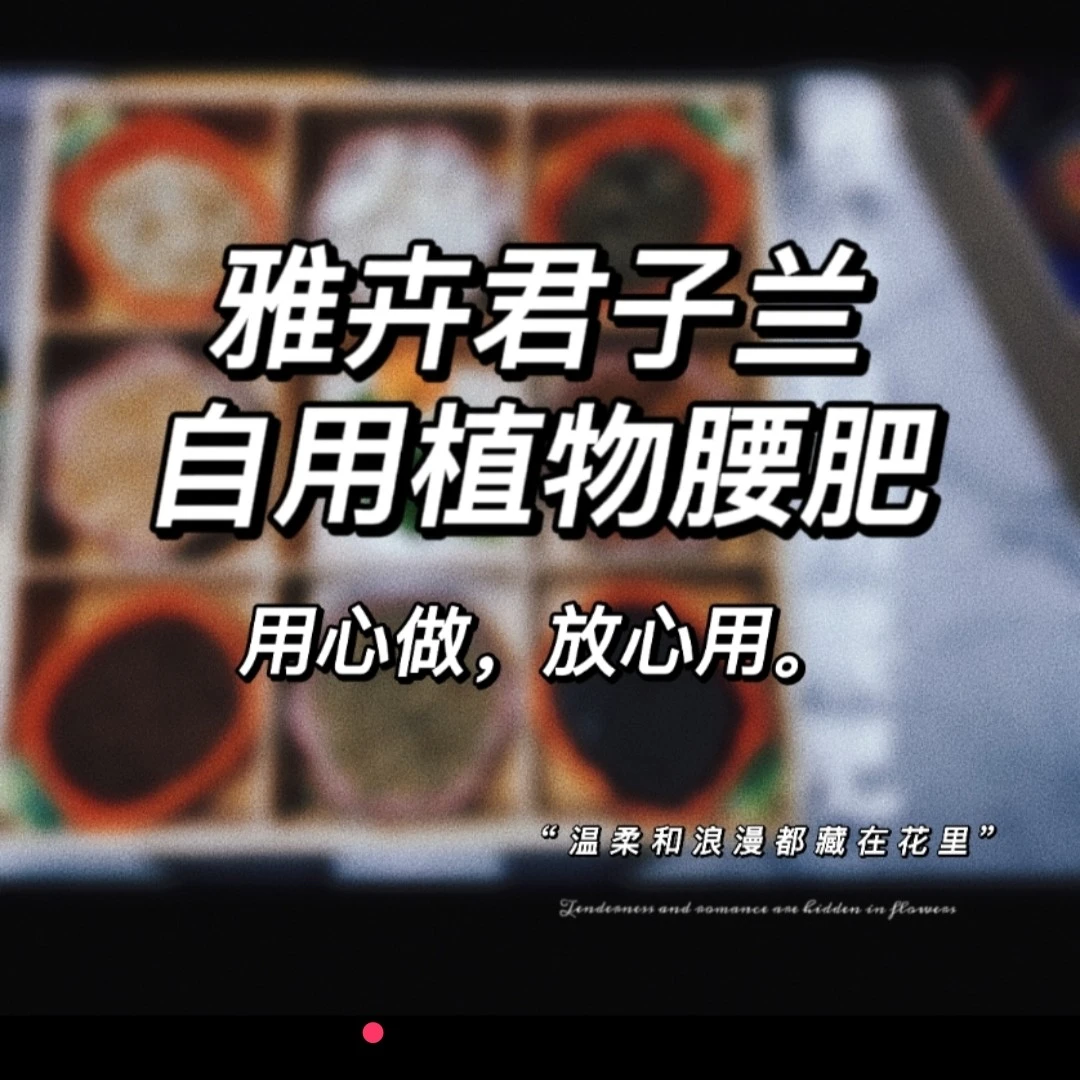 雅卉自用营养腰肥，用心做，放心用