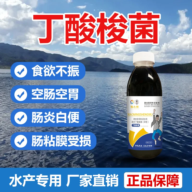 胃肠好 丁酸梭菌改善肠道白便空肠胃调水水产专用