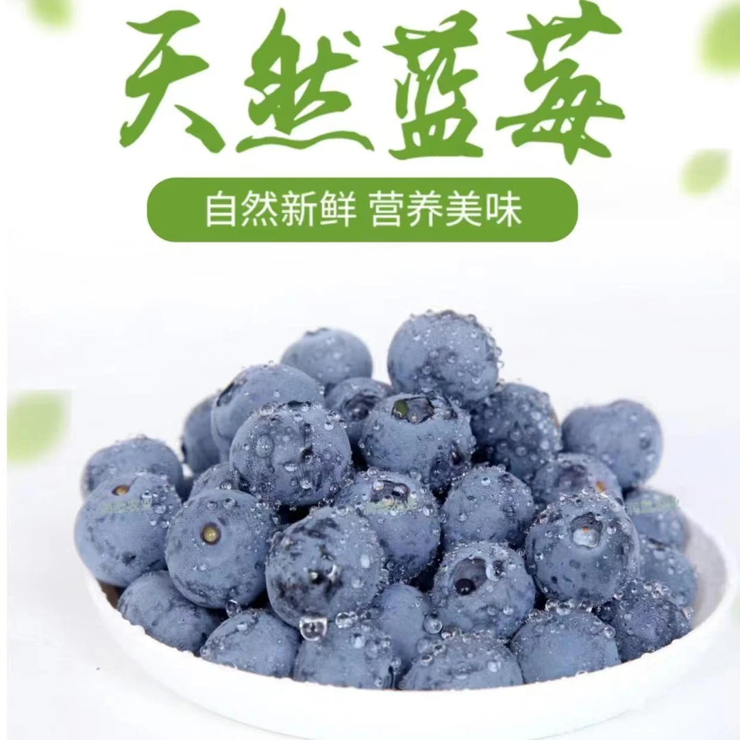 特果两盒【18MM+头茬自由品种】新鲜蓝莓鲜果现摘现发宝宝孕妈搭档