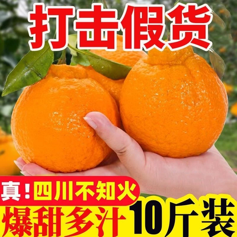 正宗四川不知火耙耙柑丑橘纯甜应季新鲜水果自家果园现摘整箱包邮