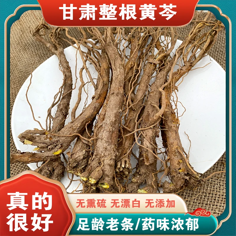 （主根黄芩））甘肃黄芩刚刚挖出来鲜活 另售干姜