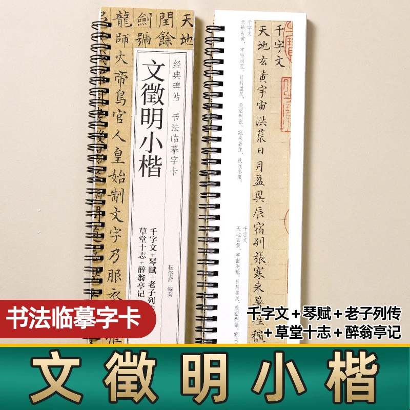 文徵明小楷千字文琴赋草堂十志醉翁亭记老子列传毛笔临摹字帖碑帖