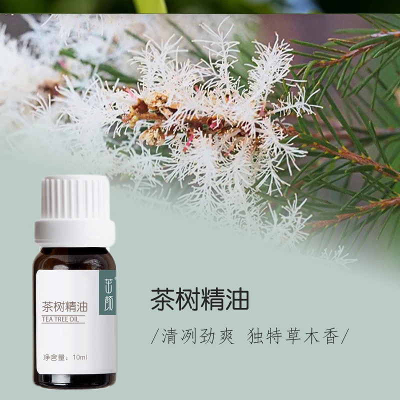 茶树精油10ml  澳洲 单方精油