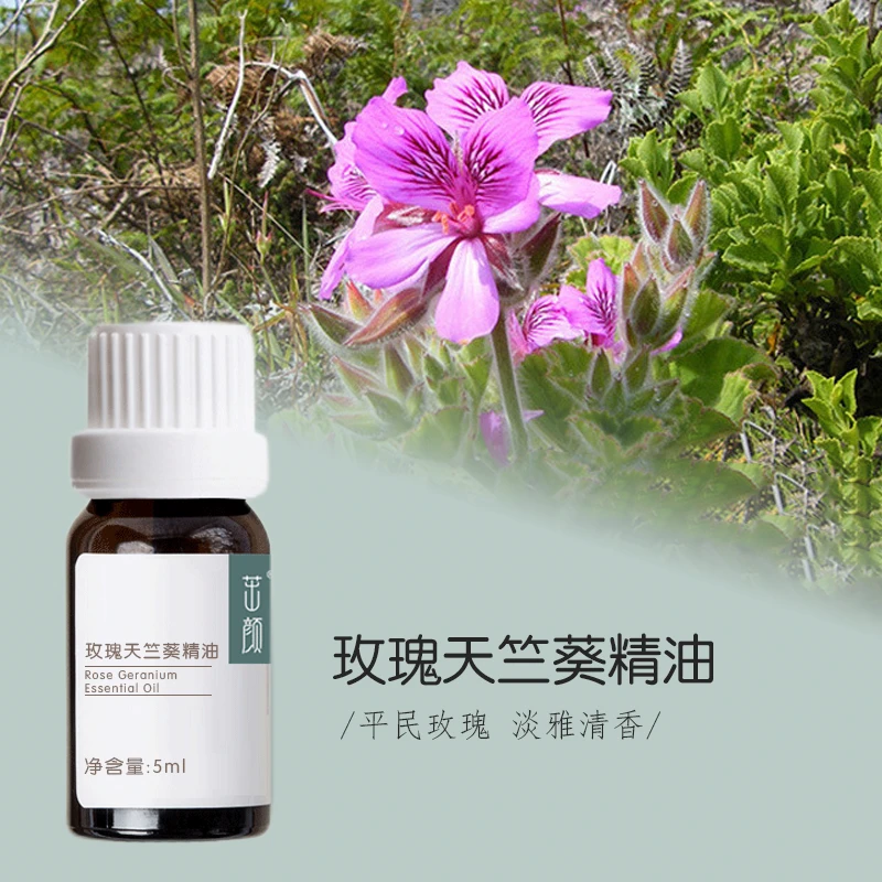 茁颜玫瑰天竺葵精油5ml   埃及 单方精油