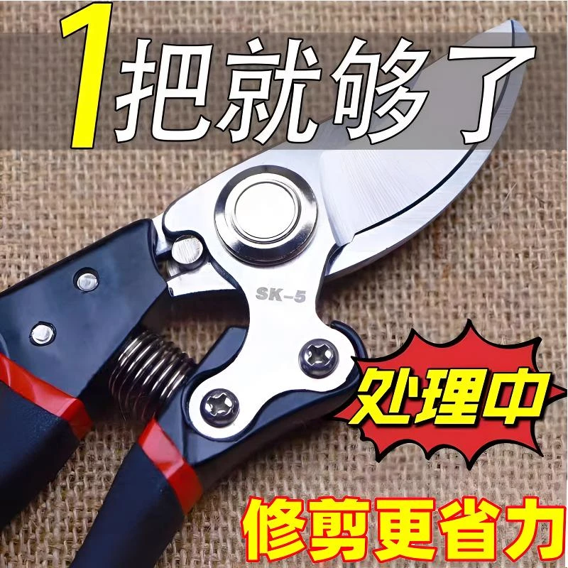 德国精工钢粗枝剪省力修枝剪刀园艺修花木果树嫁接园林剪农用工具