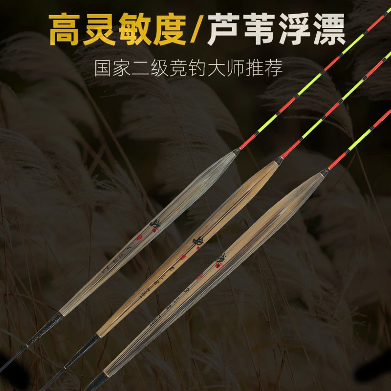 【阿花家】战字芦苇浮漂长身罗非专用鱼漂加粗醒目高灵敏钓底鲫鱼