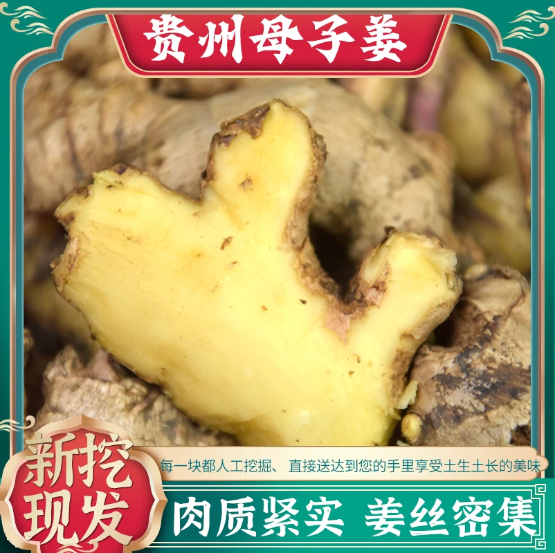 贵州新鲜小黄姜新鲜蔬菜现挖现发产地直发炖汤子母姜包邮到家