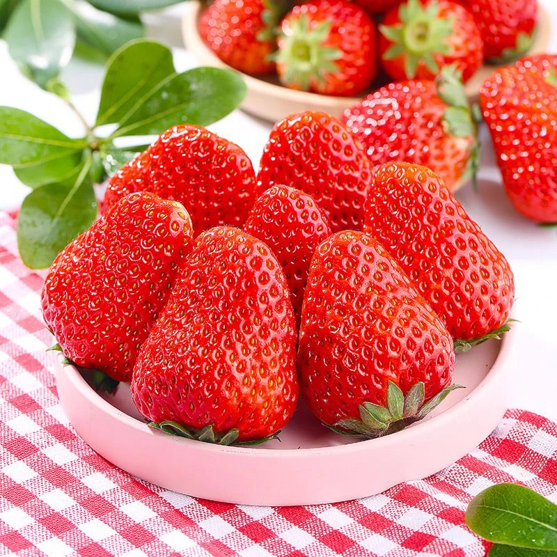 （精品）丹东99大板草莓大板（仅限大同平城区云冈区可拍）