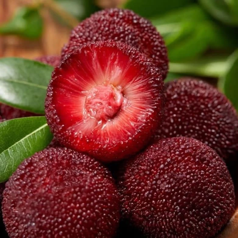 福建杨梅现摘酸甜可口（份/3斤装）【仅限大同平城区云冈区可拍】