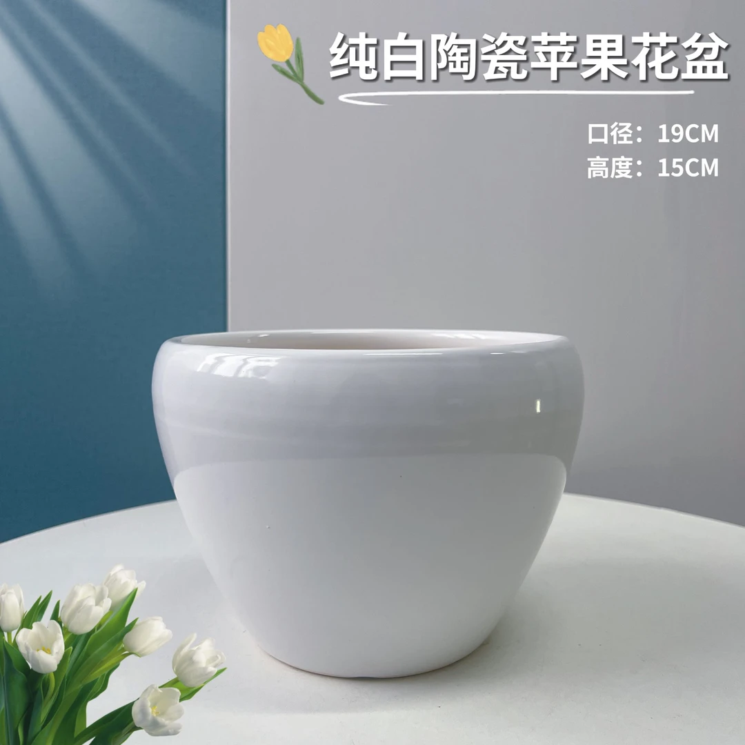 纯白苹果口19高15君子兰蝴蝶兰虎皮兰绿箩简约百搭通用陶瓷花盆