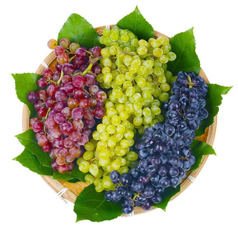 【新疆吐鲁番葡萄】新疆三色葡萄皮薄肉厚4斤郑州仓顺丰冷运