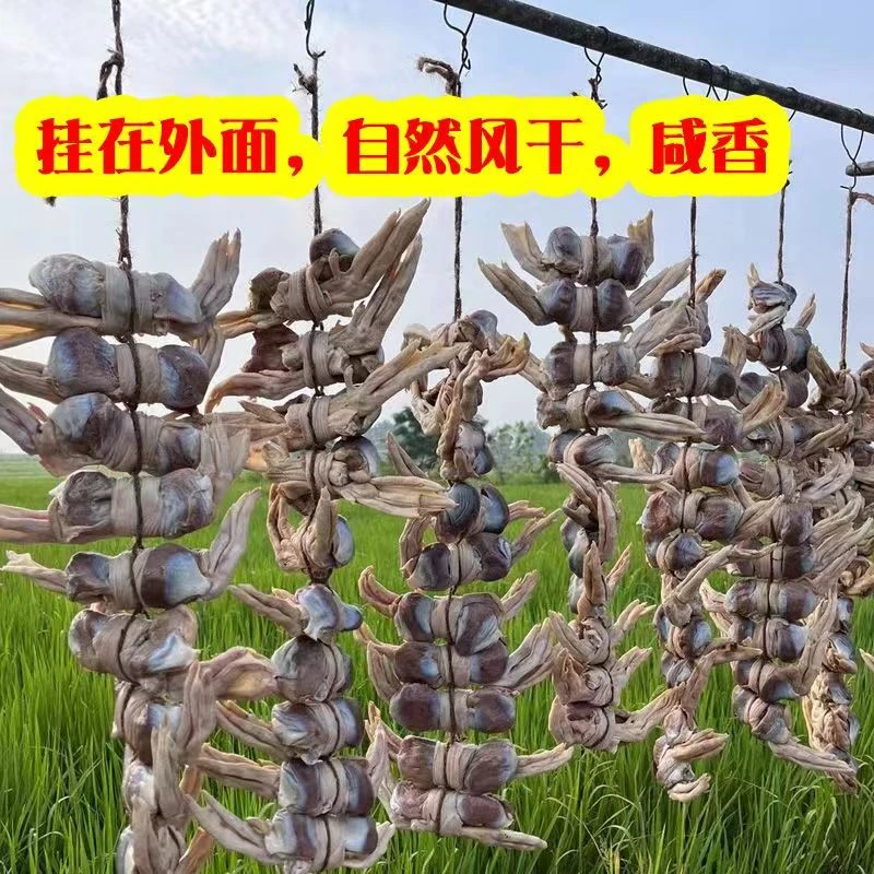 大白鹅咸鹅胗爪青年鹅爪【20只鹅爪10个胗】京东包邮腌制咸香六安