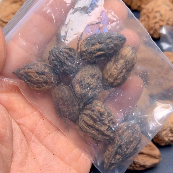 文玩核桃把件王****?25文玩