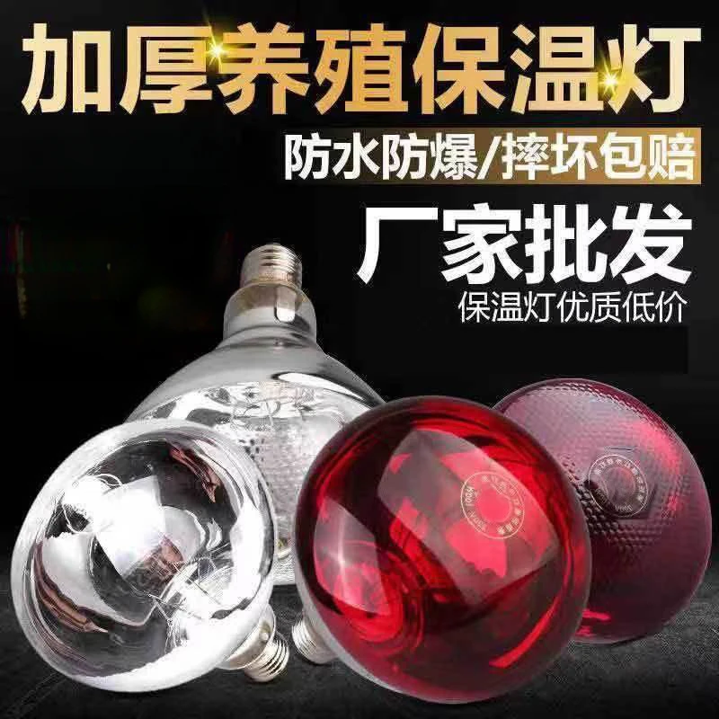 【猪大师推荐】猪场保温灯 养殖场专用 加厚防水优质耐用镀锌使用