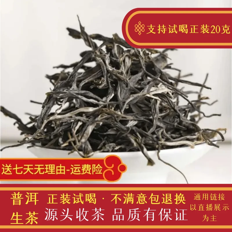 【私藏高货】2023年弯弓高杆普洱茶生茶散茶200g