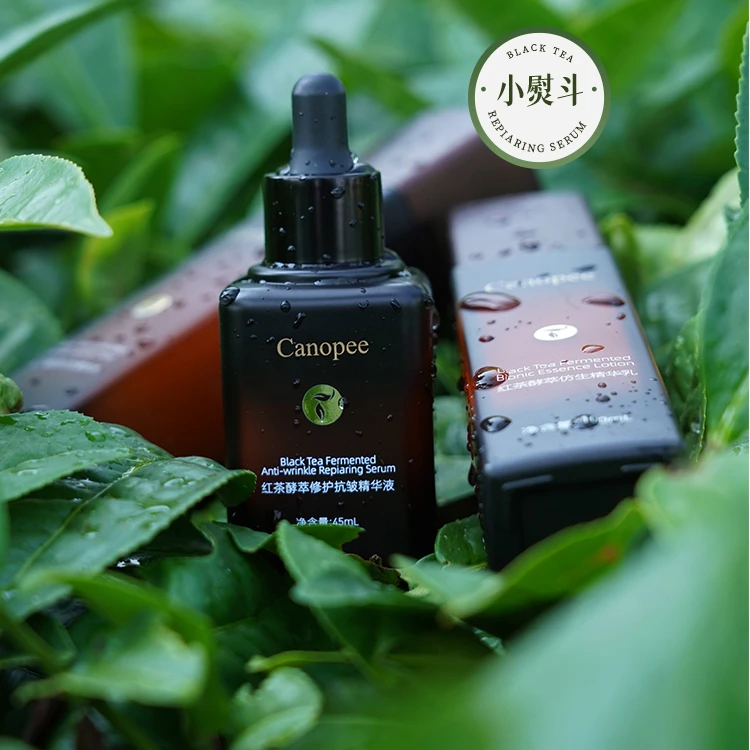 Canopee 红茶酵萃修护抗皱精华液 修护 保湿 抗皱