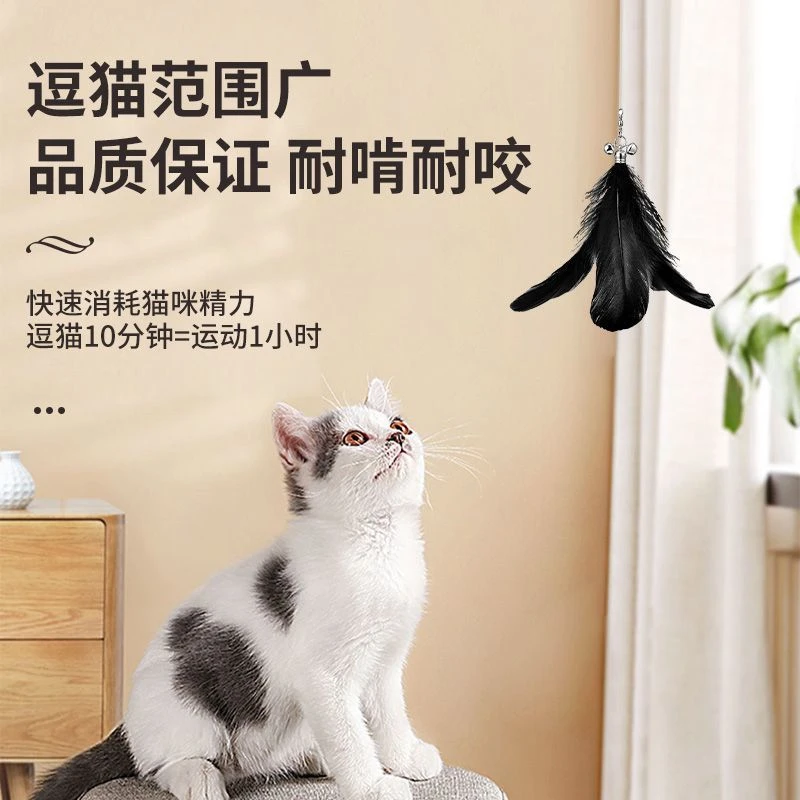 逗猫棒长杆1米可伸缩钓鱼羽毛逗猫杆耐咬带铃铛自嗨解闷猫咪玩具