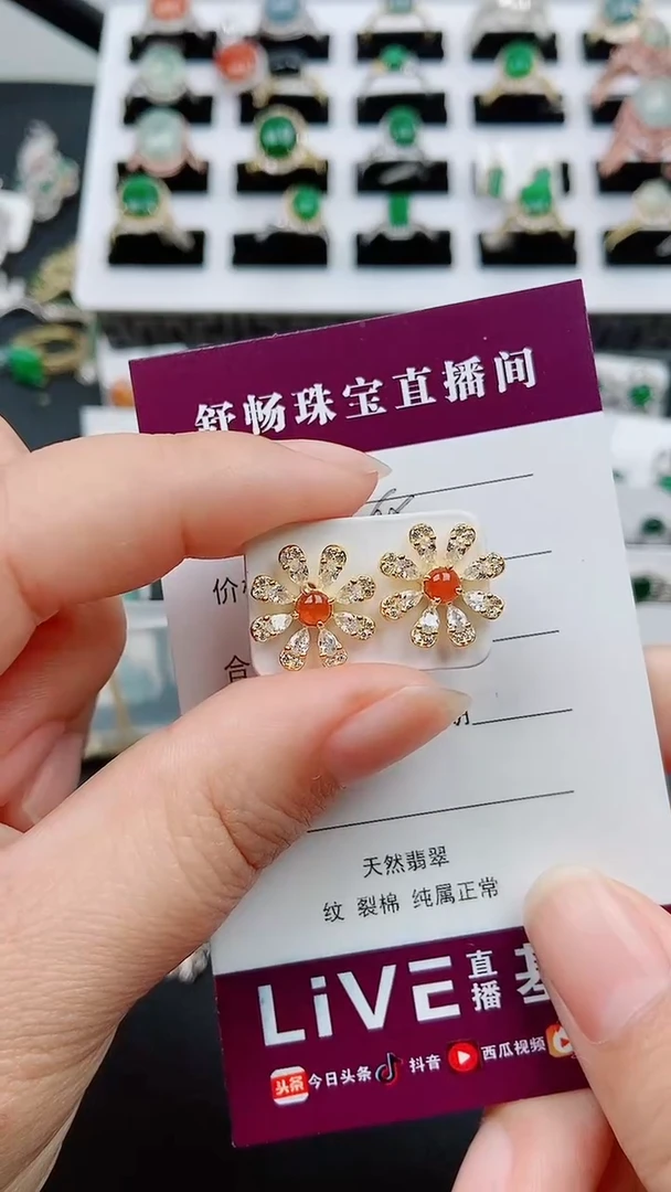 【闪购商品】翡翠耳饰银S925镶嵌1