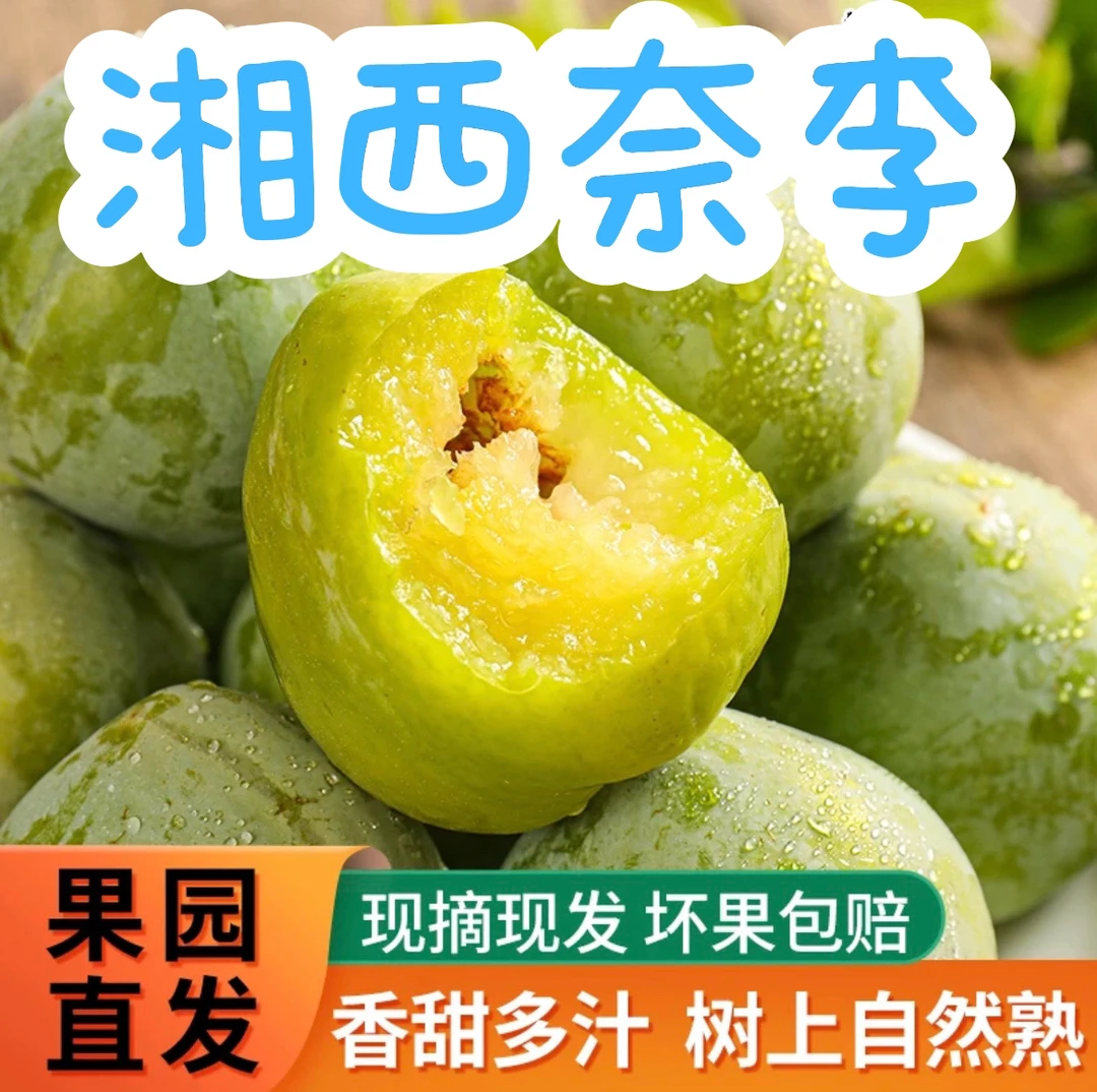 湘西奈李脱骨大李子应季水果