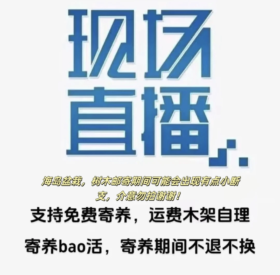 直播链接 春花栀子花一物一拍