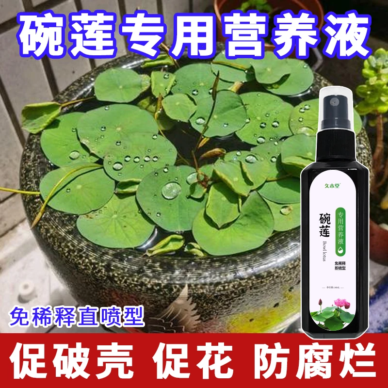 碗莲营养液专用水溶肥水培土培睡莲通用肥料生长慢不发芽不开花