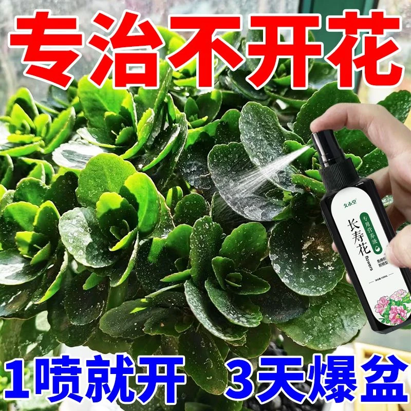 长寿花营养液专治不开花黄叶促花苞增花蕾延花期盆栽免稀释专用肥