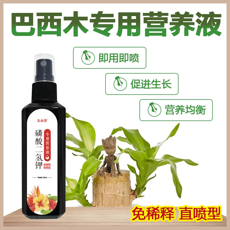 巴西木营养液专用促芽剂助生长生根发芽防黄叶水培土培通用肥料