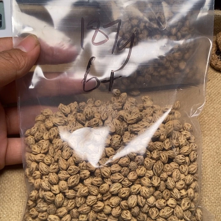 柏香籽/百香籽吊坠物**飛